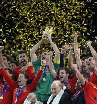 新王加冕：2010年世界杯纪录片观看