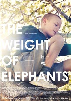 大象的重量观看
