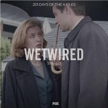 The X Files - Season 3, Episode 23: Wetwired观看