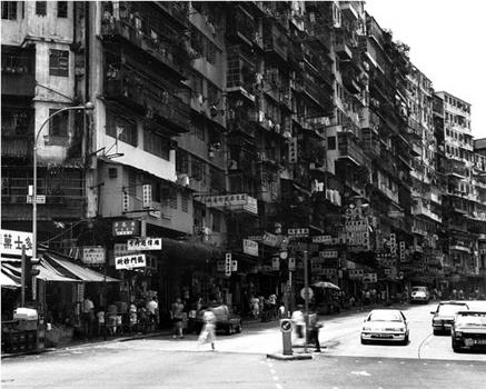 消失的记忆：香港九龙寨城观看