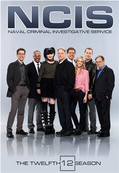 海军罪案调查处 第十二季观看