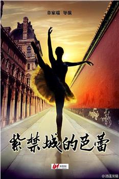 紫禁城的芭蕾观看