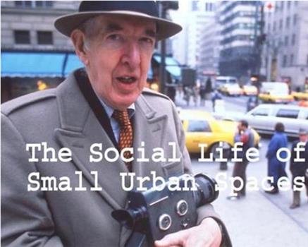 小型公共空间的社会生活观看