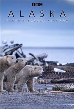 阿拉斯加：地球上的冰冻王国观看