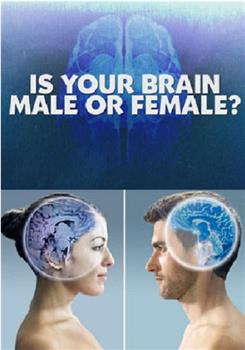 你的大脑是男性还是女性观看