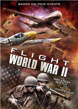 空中世界二战观看