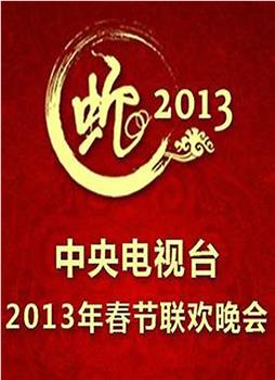 2013年中央电视台春节联欢晚会观看