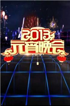 2013年中央电视台元宵晚会观看