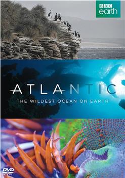 大西洋：地球最狂野的海洋观看