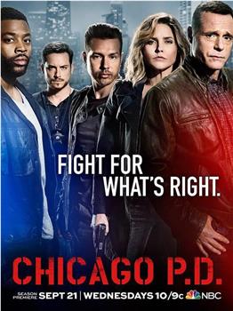 芝加哥警署 第四季下载