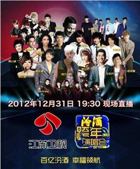 2013年江苏卫视跨年演唱会观看