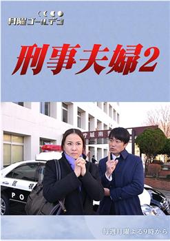 刑警夫妇2观看