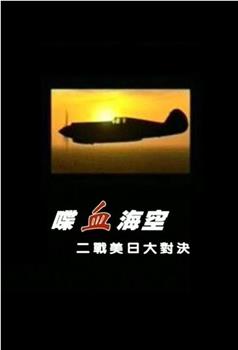 喋血海空 二战美日大对决观看