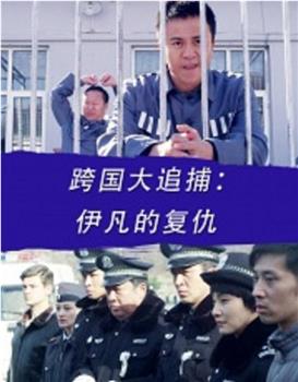 跨国大追捕：伊凡的复仇观看