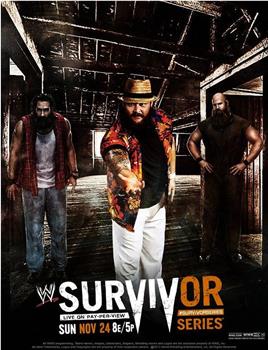 WWE:Survivor Series 2013观看