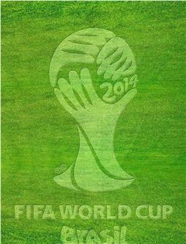 豪门盛宴——2014巴西世界杯特别节目观看