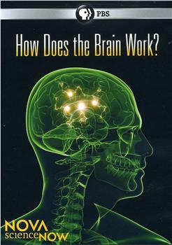 PBS新星今日科学系列 大脑的奥秘观看
