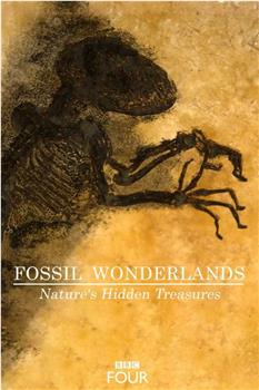 化石仙境：隐藏在自然中的宝藏观看