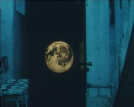 月圆观看