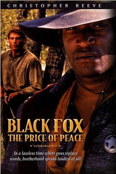黑狐：和平的代价观看