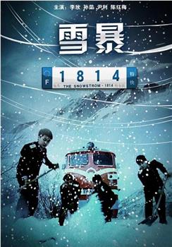 雪暴1814观看