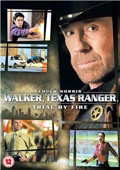 Walker, Texas Ranger: Trial by Fire观看