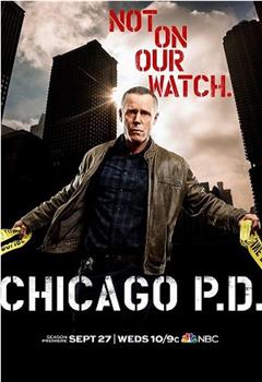 芝加哥警署 第五季观看