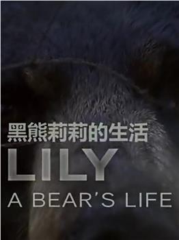 莉莉 一头熊的生活观看
