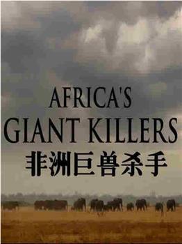 BBC 自然世界 非洲巨兽杀手观看