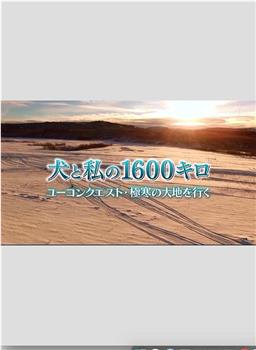 与犬共行1600公里 育空越野赛·跑过酷寒大地观看