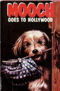 一条流浪狗带你游遍好莱坞观看
