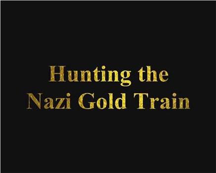 探寻纳粹黄金列车观看