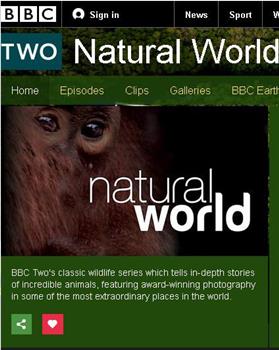 BBC自然世界：猴王子观看