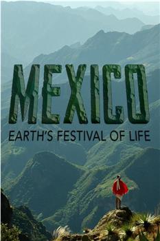 墨西哥：地球生命的狂欢观看