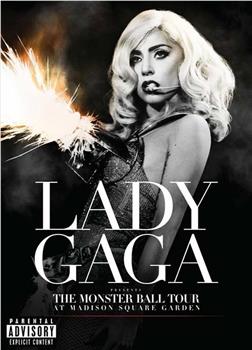 Lady Gaga 恶魔舞会巡演之麦迪逊公园广场演唱会观看