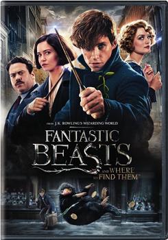 Fantastic Beasts and Where to Find Them: Newt观看