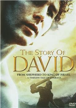 大卫王的故事观看