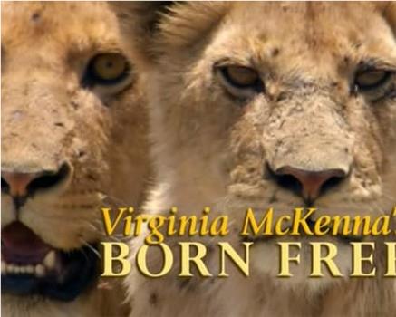 弗吉尼亚·麦肯娜回顾《生来自由》观看