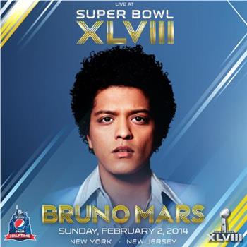 Super Bowl XLVIII Halftime Show观看
