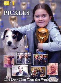 Pickles: The Dog Who Won the World Cup观看