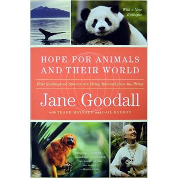 珍·古道尔与动物行为世界：非洲的野狗观看