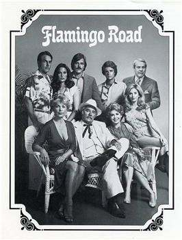 Flamingo Road观看