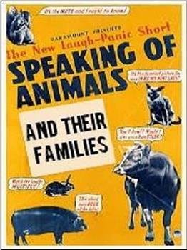 动物及其家庭成员观看