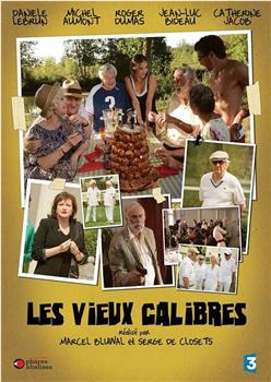 Les vieux calibres观看