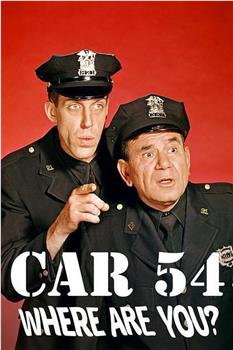 Car 54, Where Are You?观看