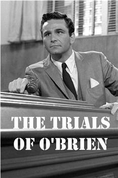 The Trials of O'Brien观看