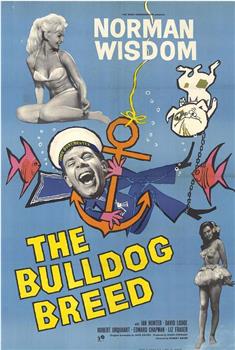 The Bulldog Breed观看