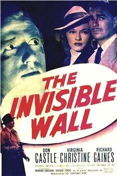 The Invisible Wall观看