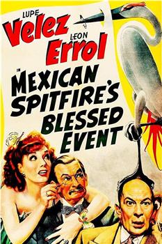 Mexican Spitfire's Blessed Event观看