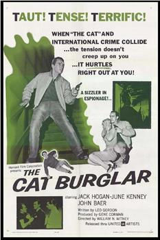 The Cat Burglar观看